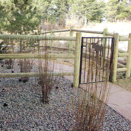 iron gates